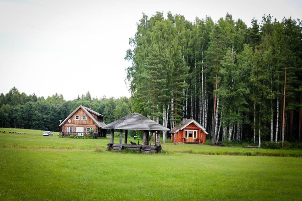 Kauksi Puhkemaja - Housity