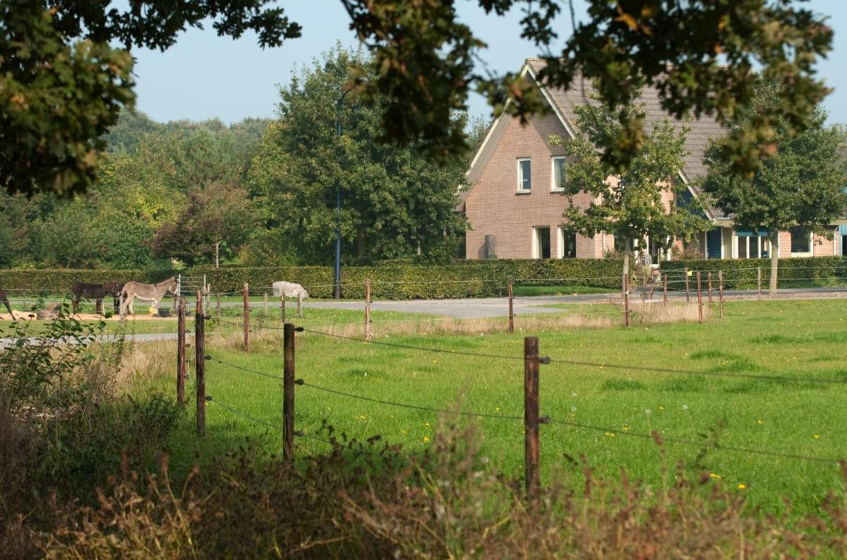 Suitetrails - Bed & Breakfast 'Op 7'