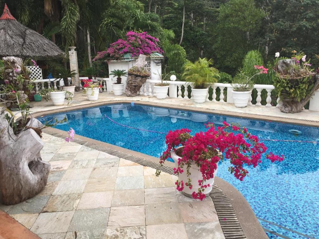 Casa Doro Romantic setting with golden sunset view - Housity