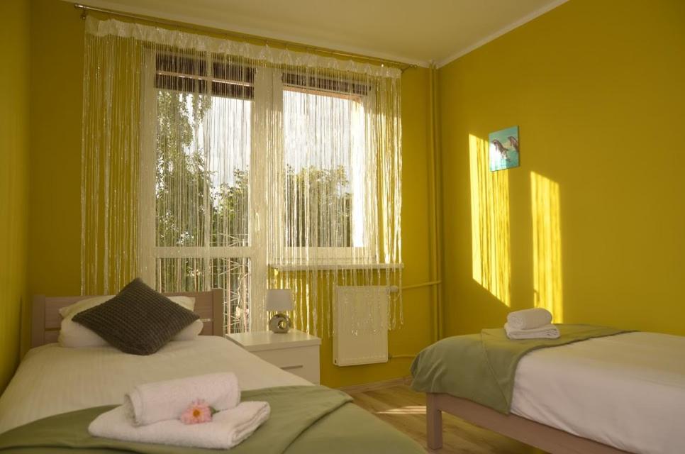 Apartament Skałka - Housity