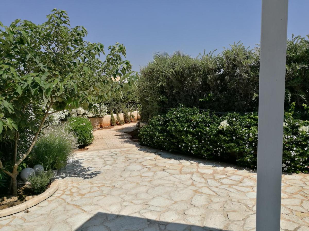 La Conchiglia - Housity