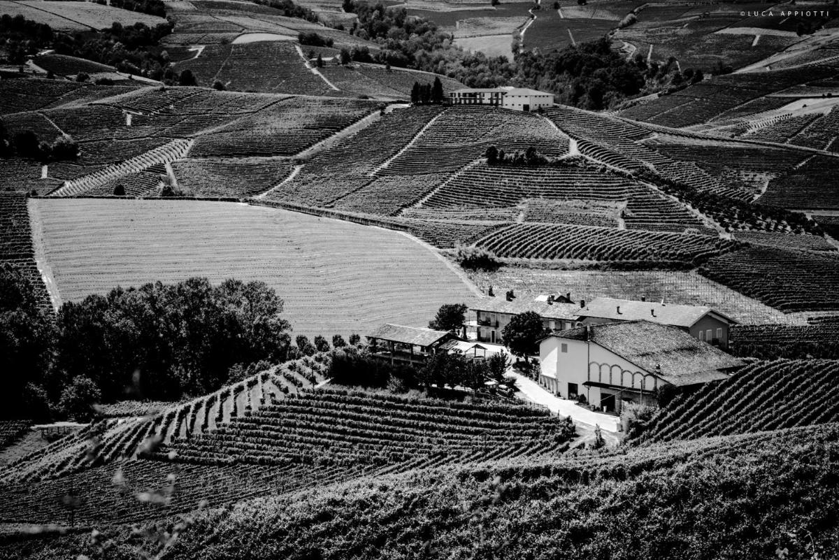 Agriturismo Cascina Sciulun - Housity