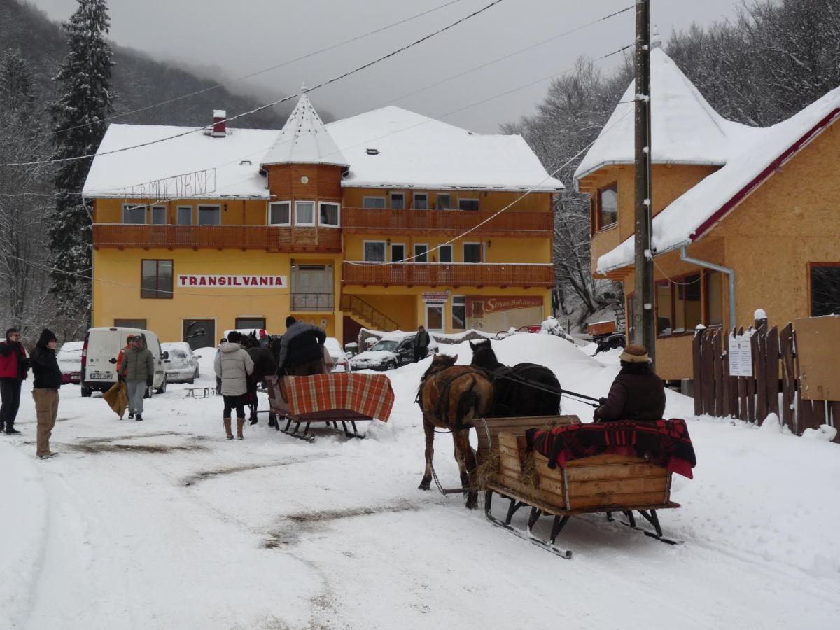 Vila Transilvania - Housity