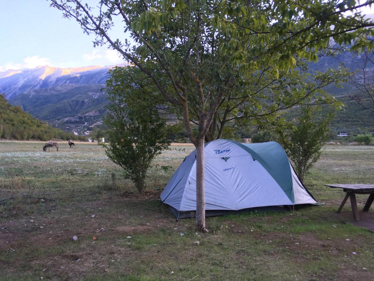 Albturist Ecocamping Përmet & Outdoor Sports Center - Housity