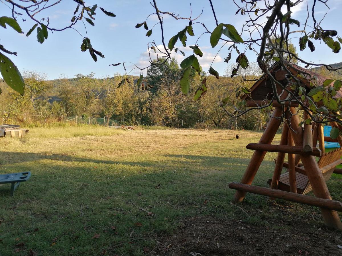 Hello Nature House - Cheile Nerei, Carasului, Garlistei - Housity