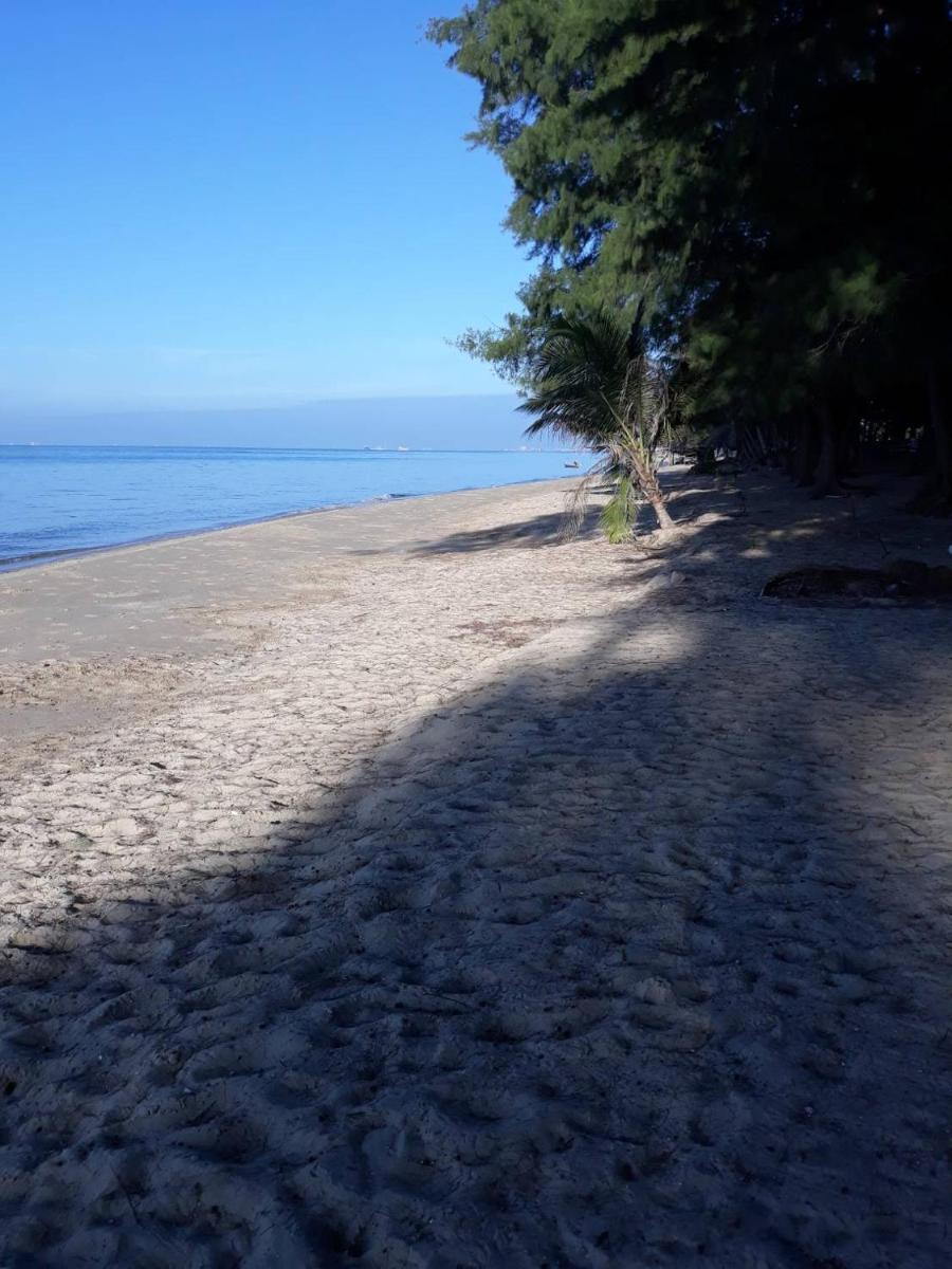 Amy's beach apartments - Housity