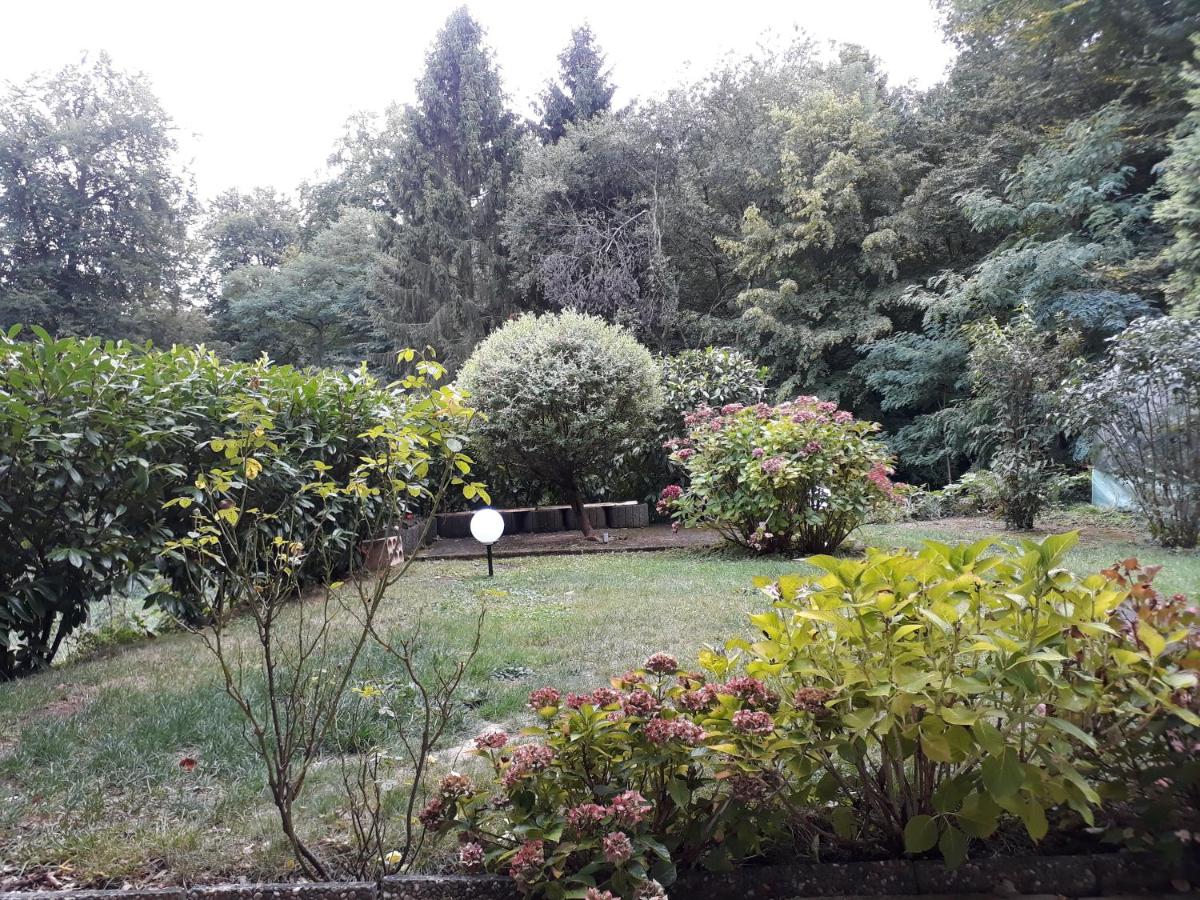 Fewo-Eichenkopf - Housity