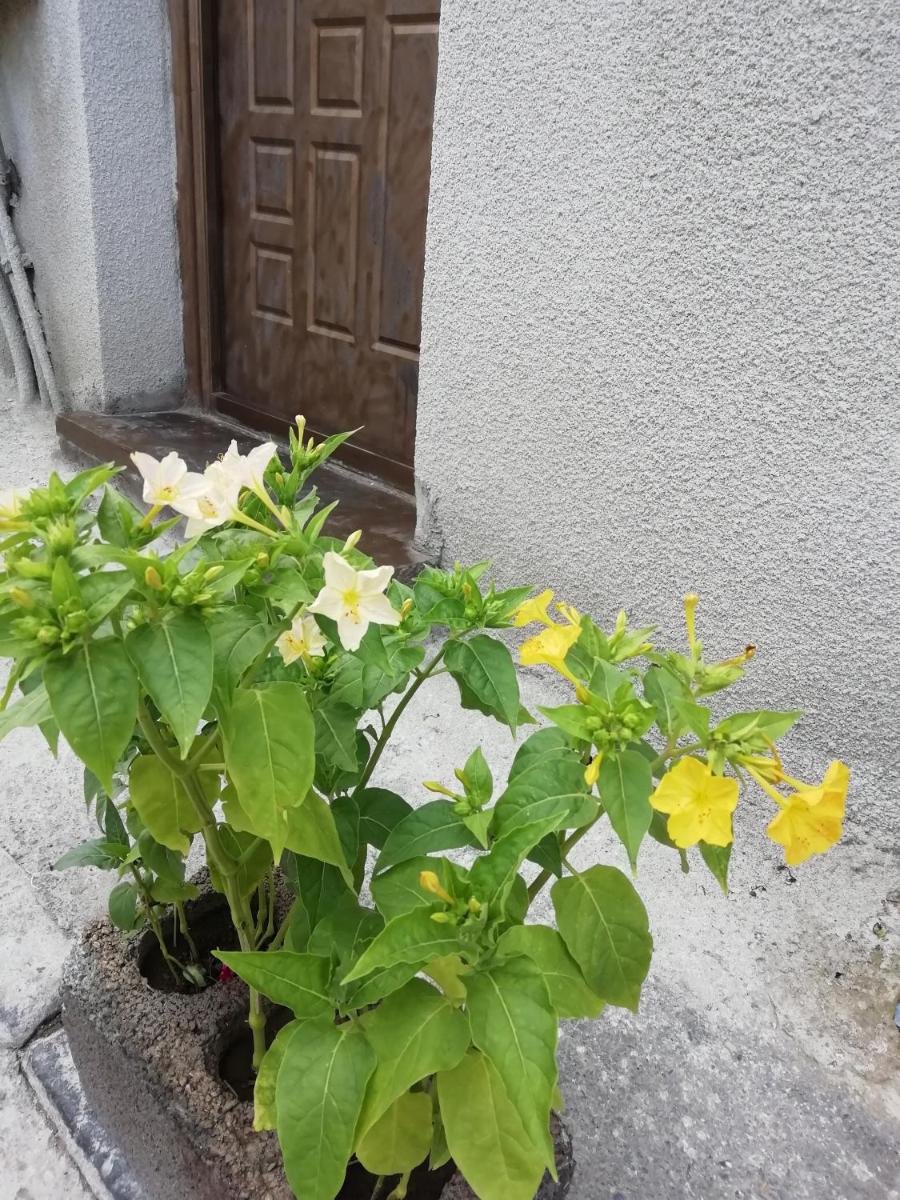 Apartment Heart of Tbilisi - Housity