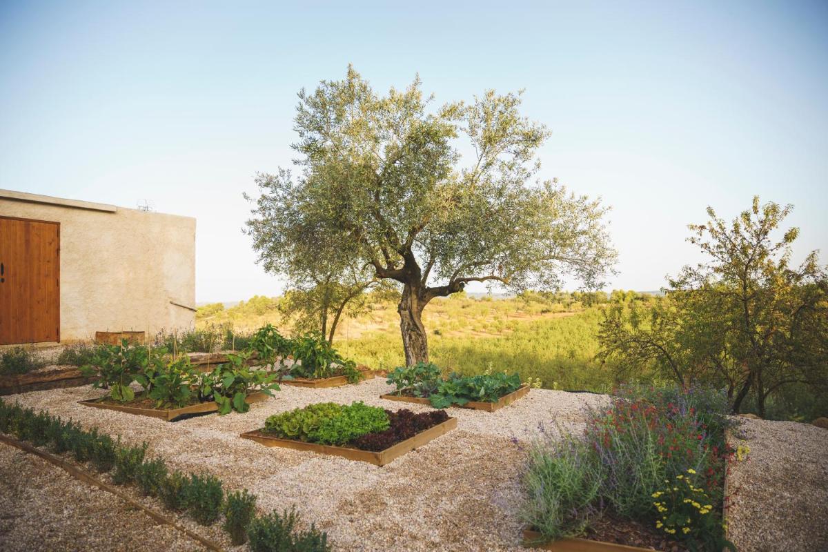 Casa rural Mas del Serranet - Housity