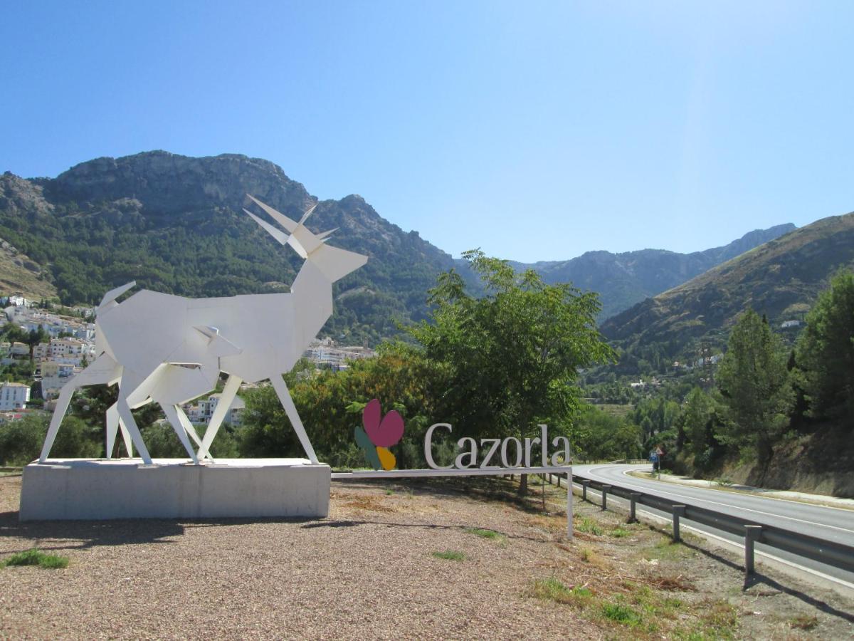 alojamiento fernando - Housity