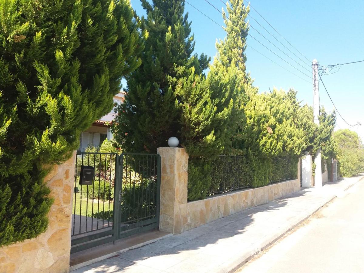 Beautiful Summer Villa in Chalkoutsi - Housity