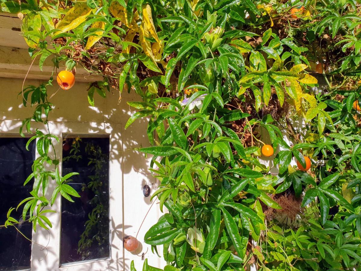 Tracebridge Cottage B&B - Housity