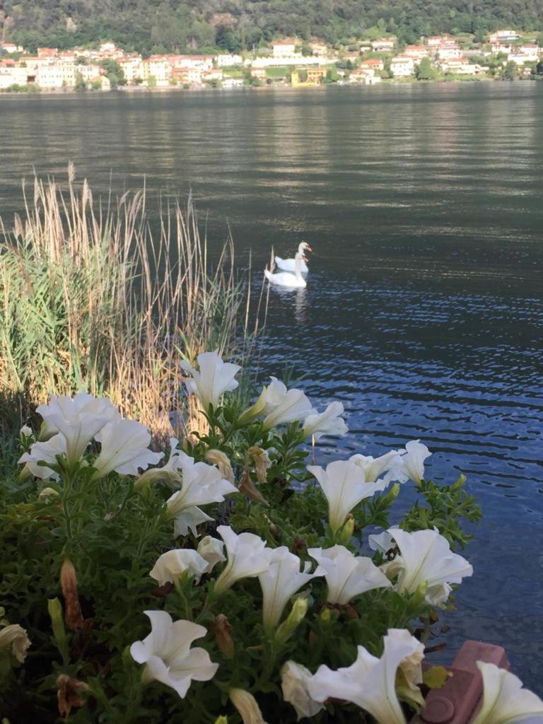 La casa dei cigni sul lago d’Orta - Housity