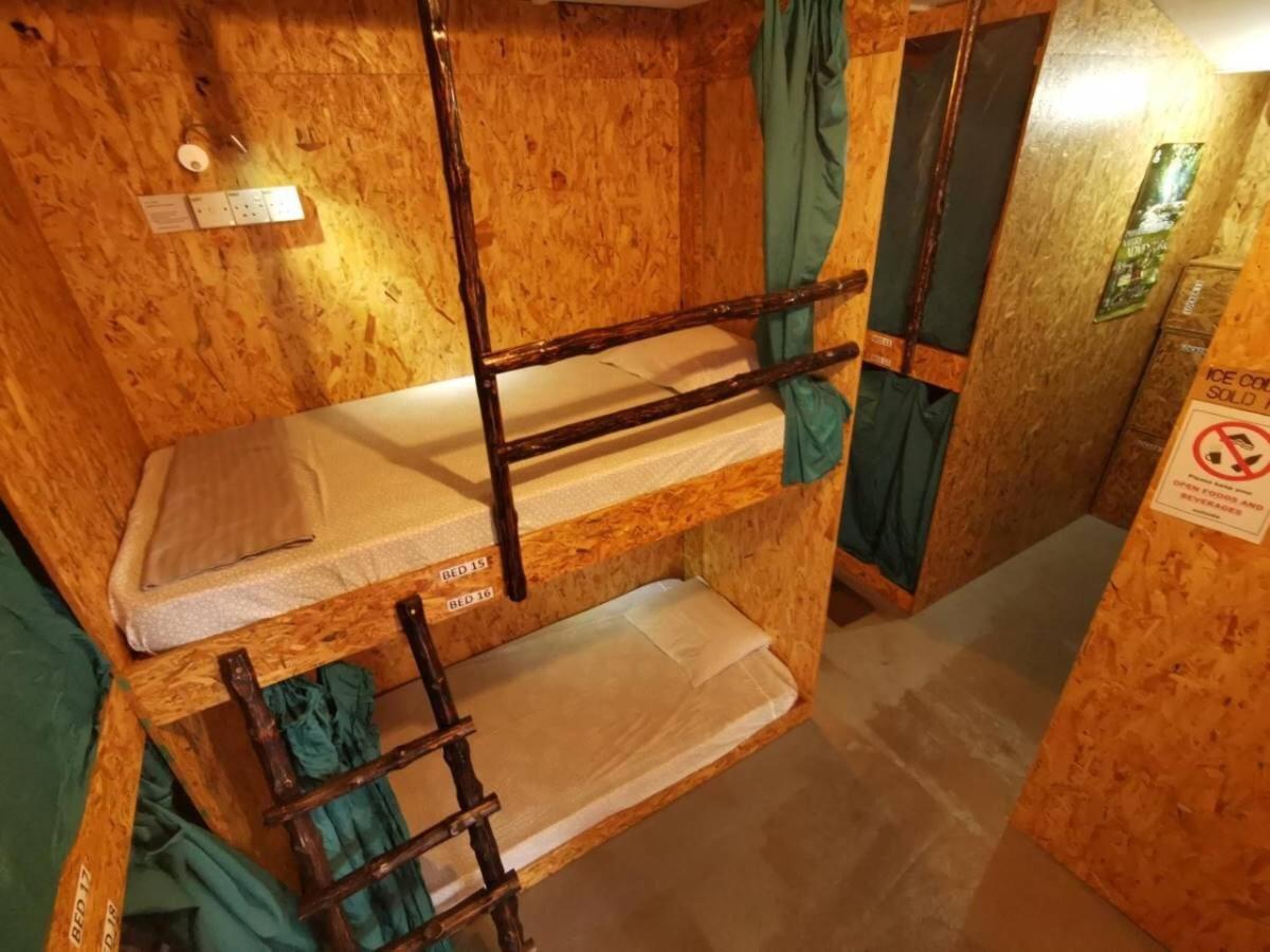 Agosto Taman Negara Hostel - Housity