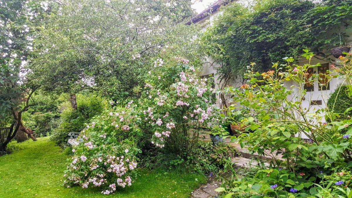 Tracebridge Cottage B&B - Housity