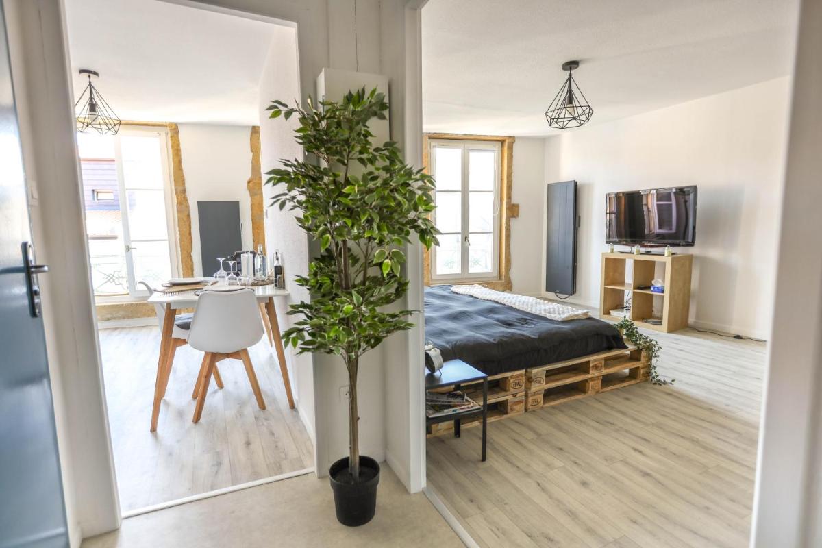 Grand Studio tout confort au cœur du centre ville - Housity