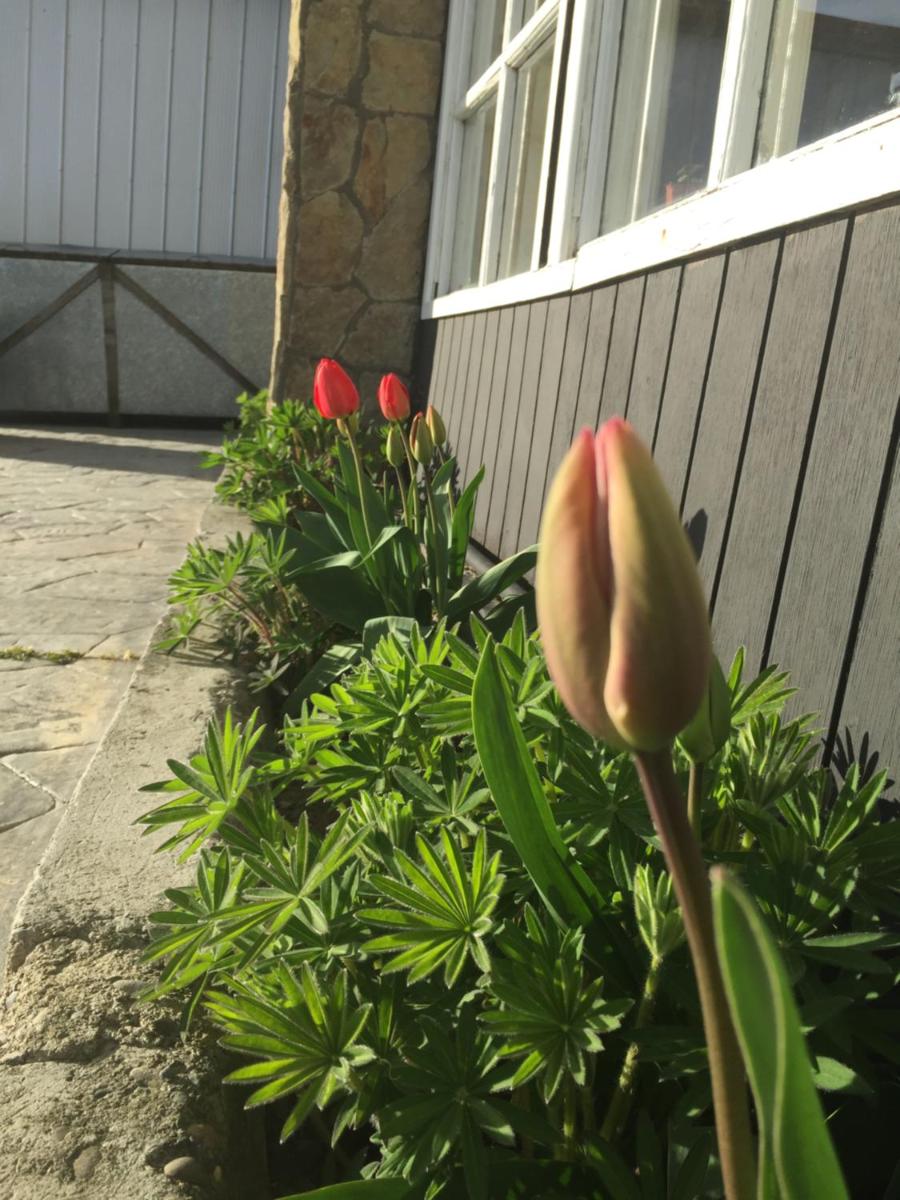 Big Bang Patagonia - Traveler Assistance - Housity