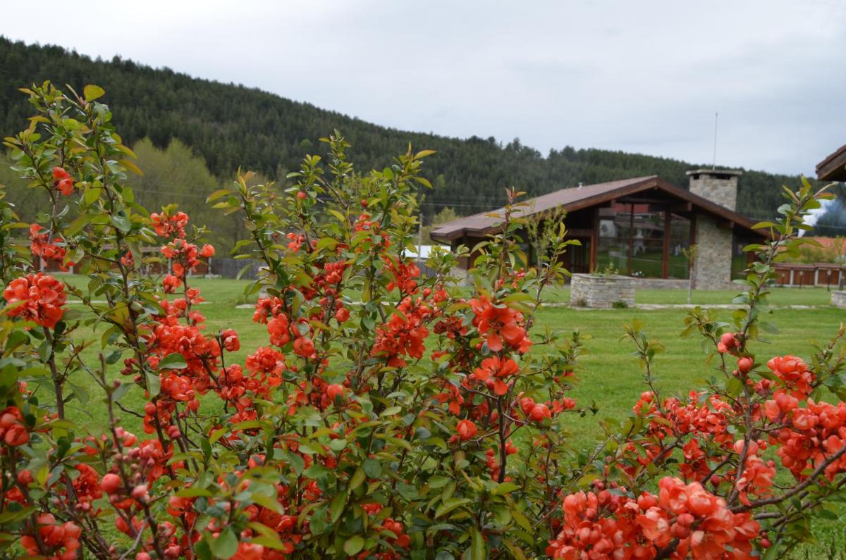 Gostnici Holiday Home - Housity