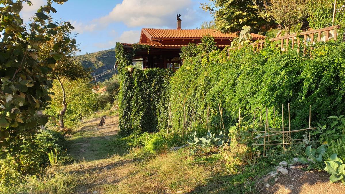Alagonia Country Homes - Housity