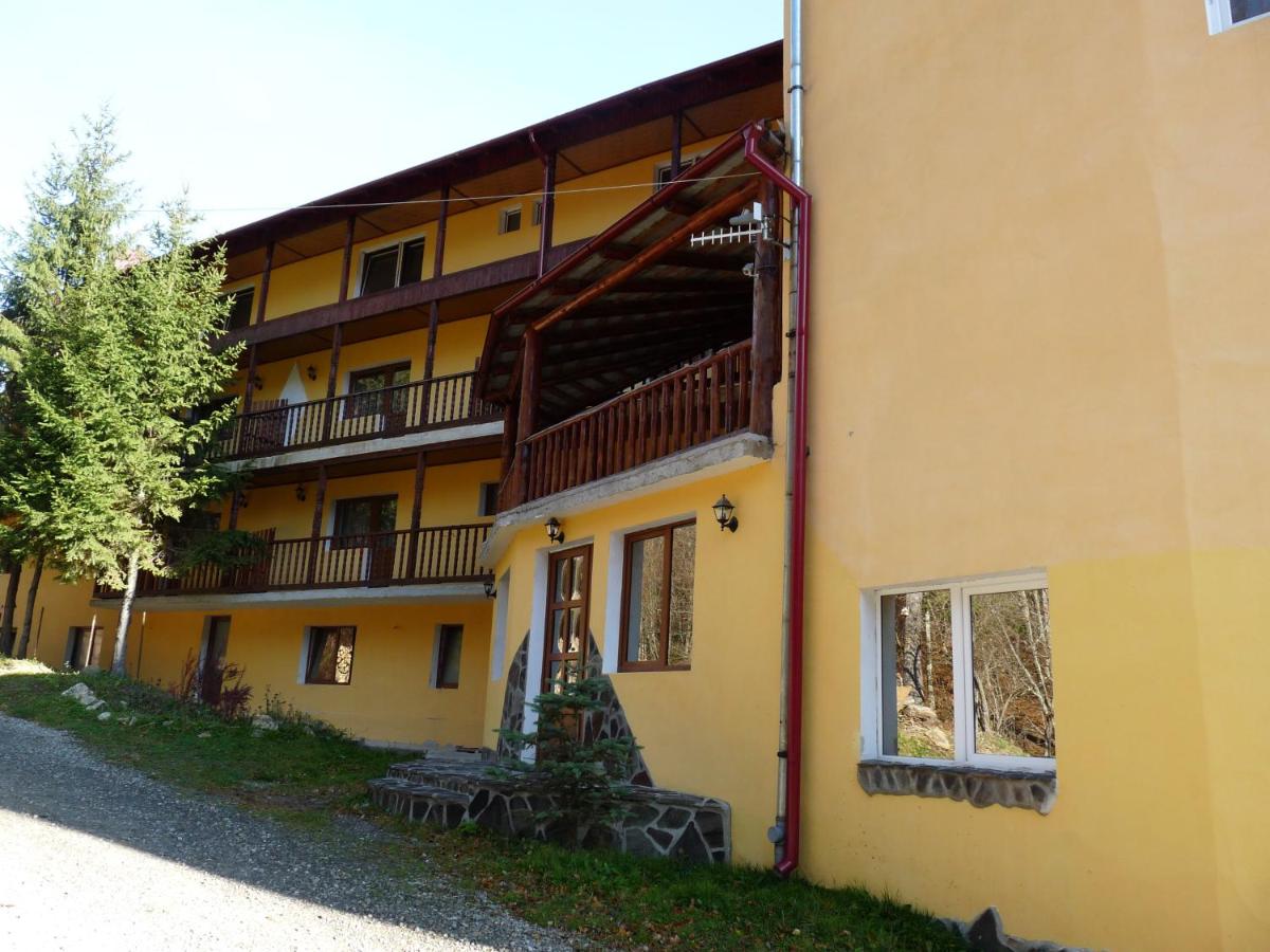 Vila Transilvania - Housity