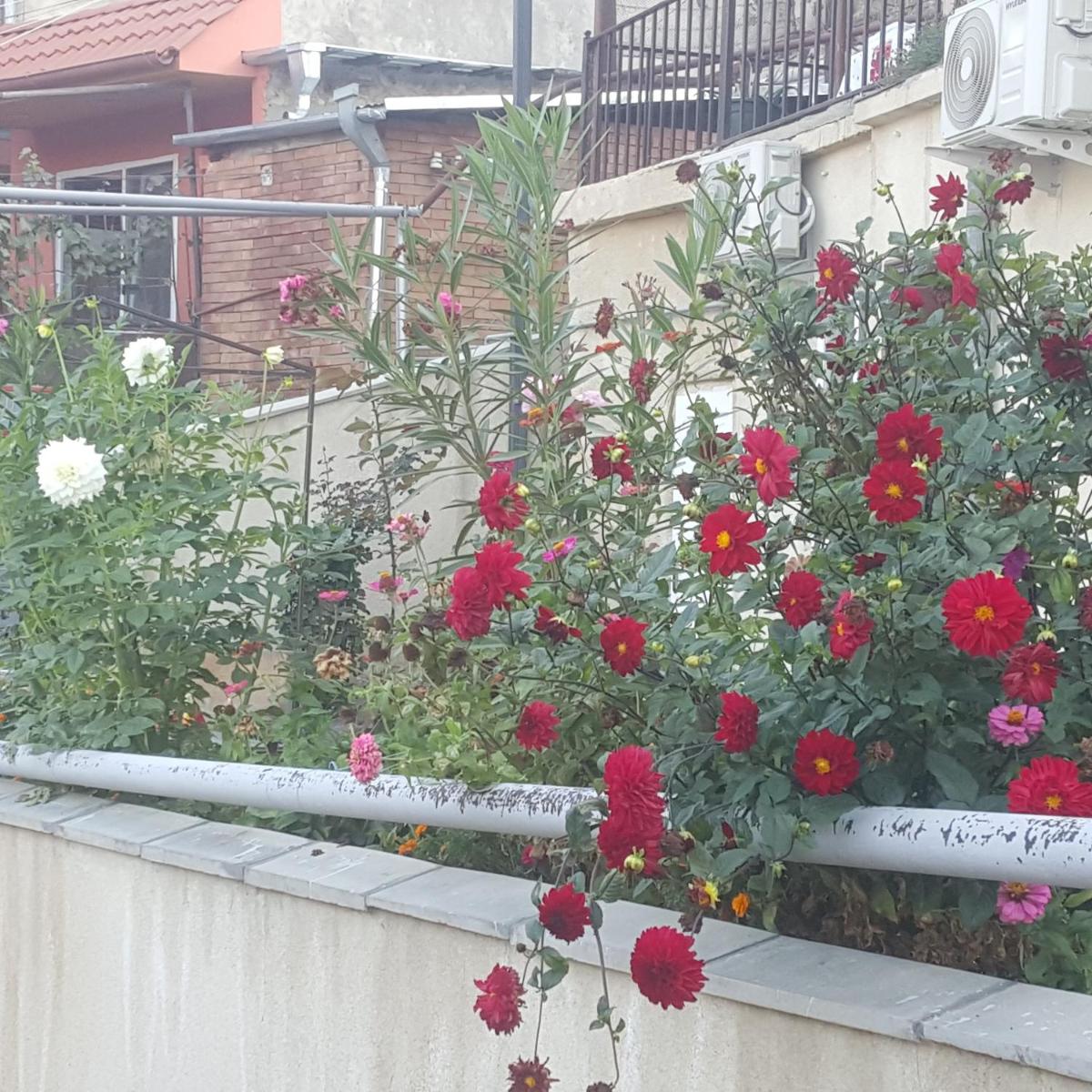 Apartment Panorama - Housity