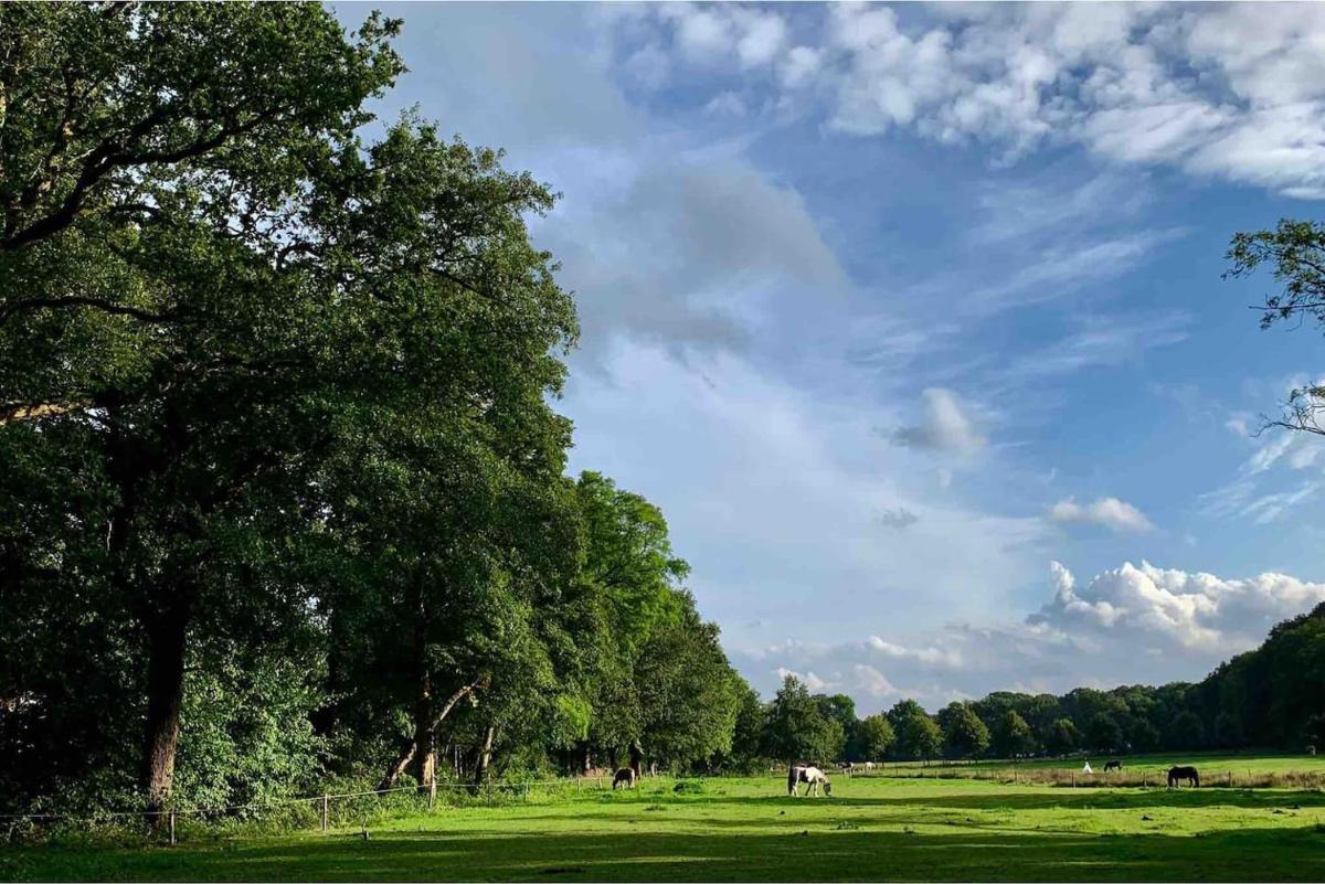 Zonnebos, private garden, fresh air, relax! - Housity