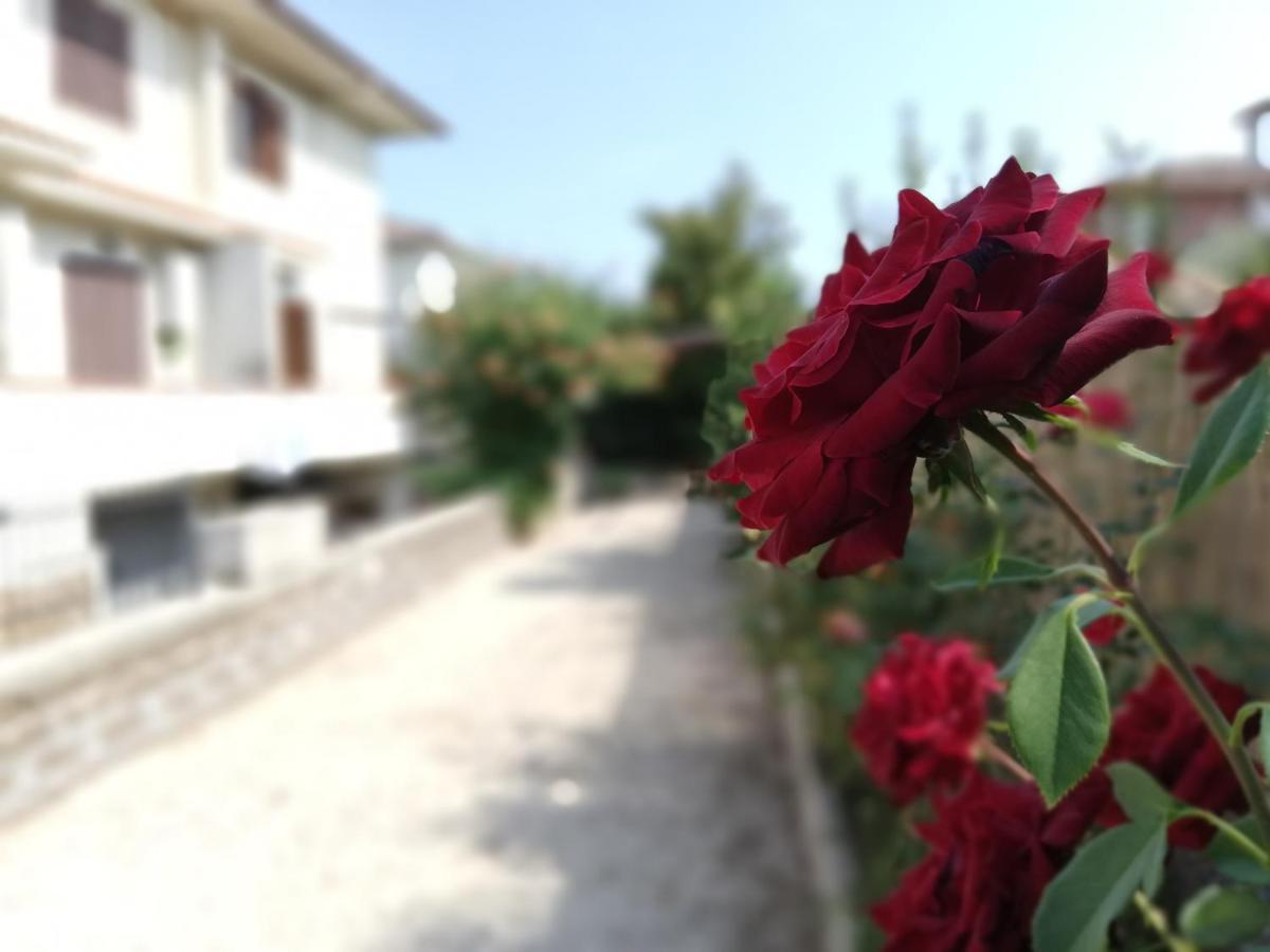 Casa Le Anfore - Hizvo