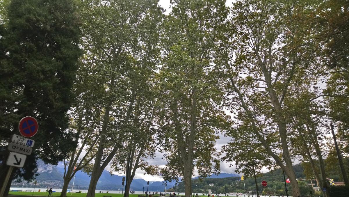 Résidence Albigny Studio Vue Sur Lac Centre-ville d'Annecy - Housity
