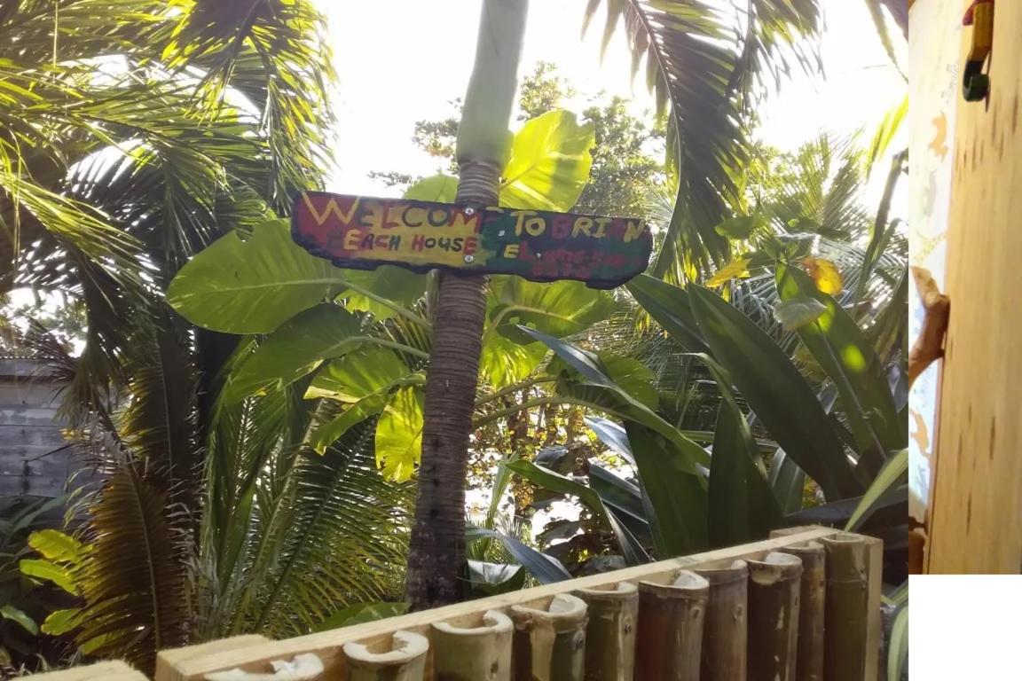 Port Antonio Brian's Beach House - Housity