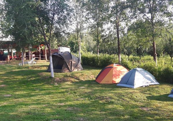 Mini-Camp SKELICA - Housity