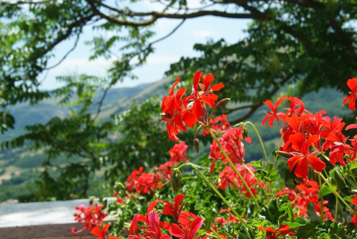 B&B IL QUERCETO - Housity