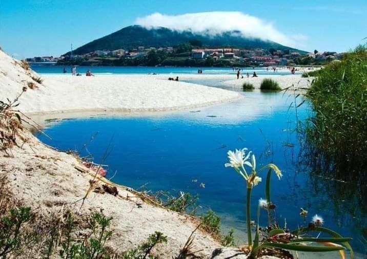 Apartamentos SEOANE - Housity