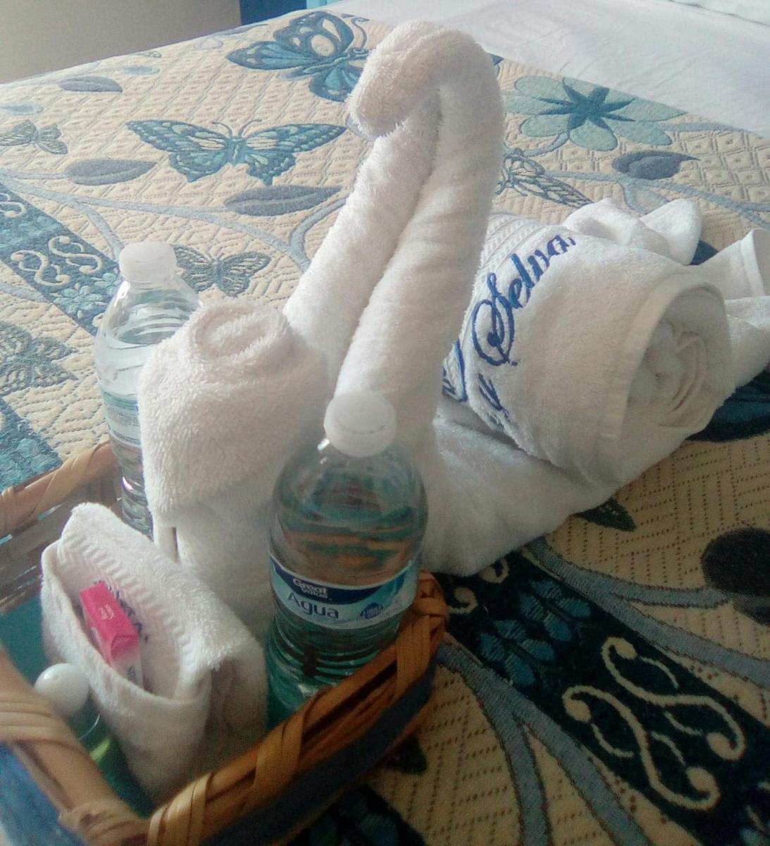 Hotel Quinta Mar y Selva - Housity
