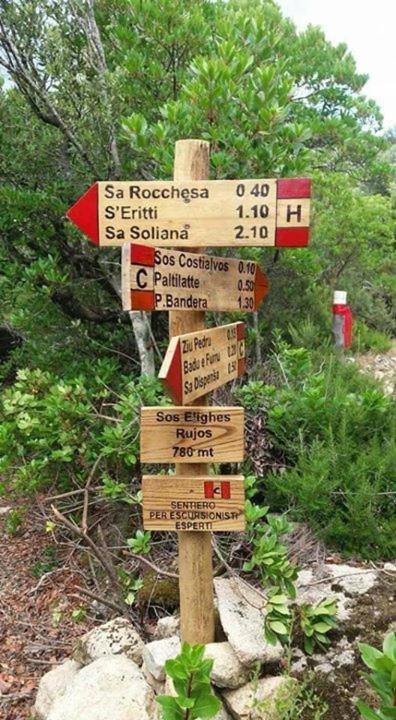 Sardegna vicino ad Olbia 
