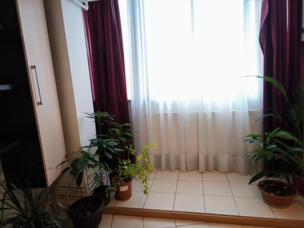 Cozy Downtown Oasis - Housity