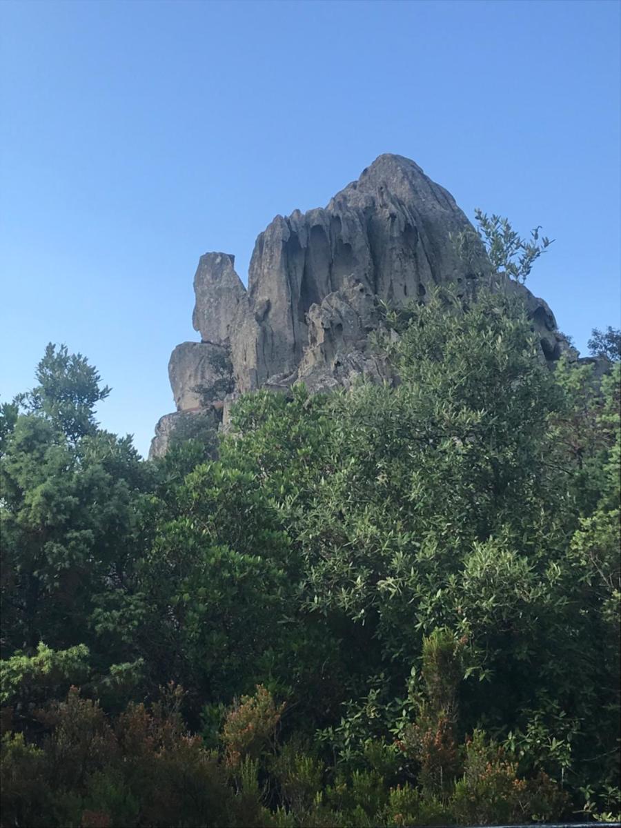 Sardegna vicino ad Olbia 