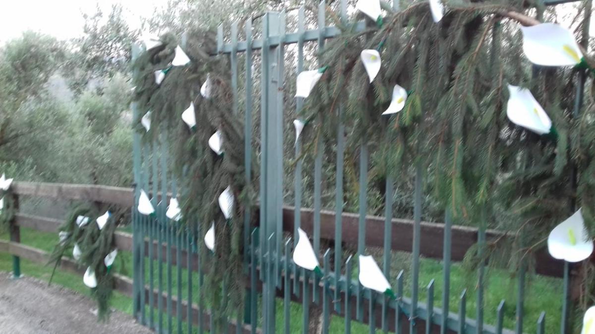 B&B Curtif - Housity