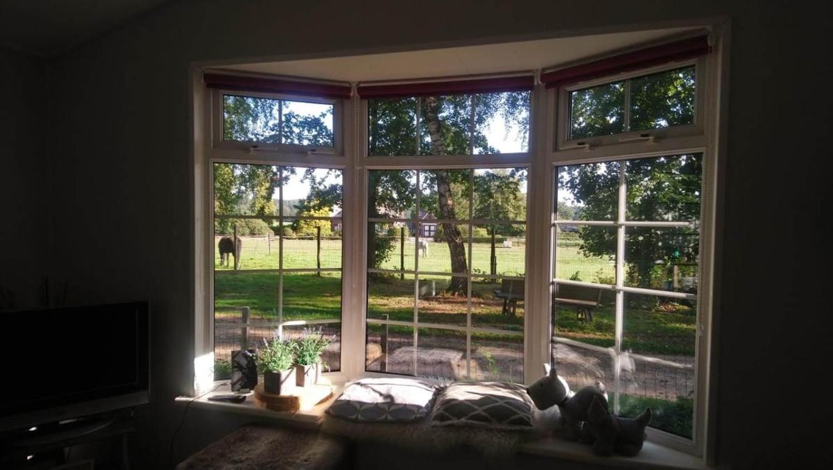 Woudthuisje - Housity