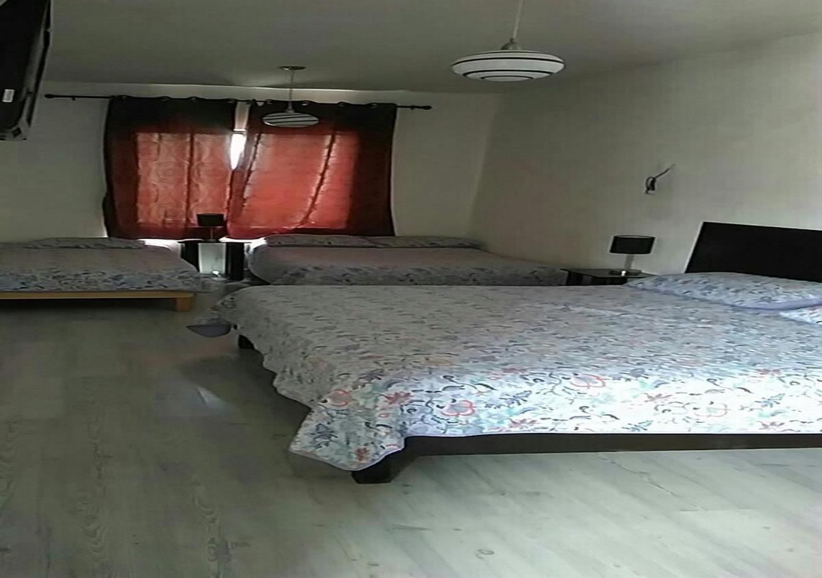 Hotel Vithez - Housity