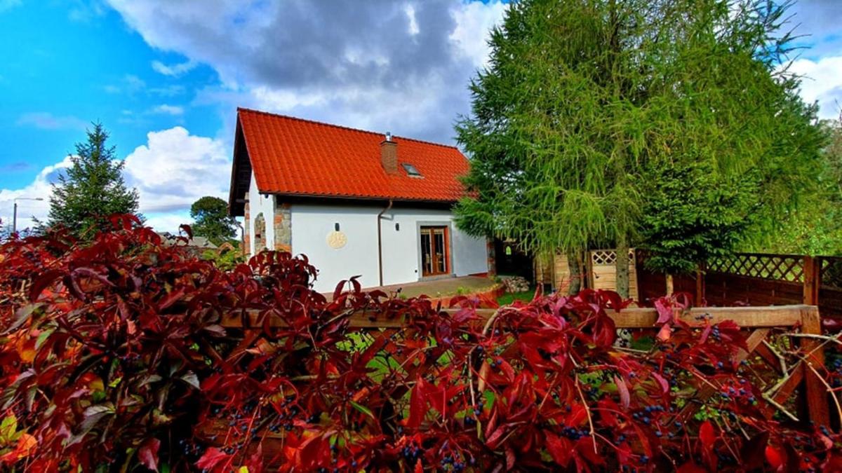 Dworek de Janauis - Housity