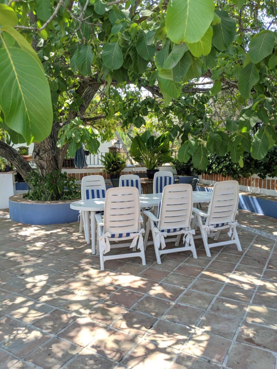 La Noguera de Baena - Housity
