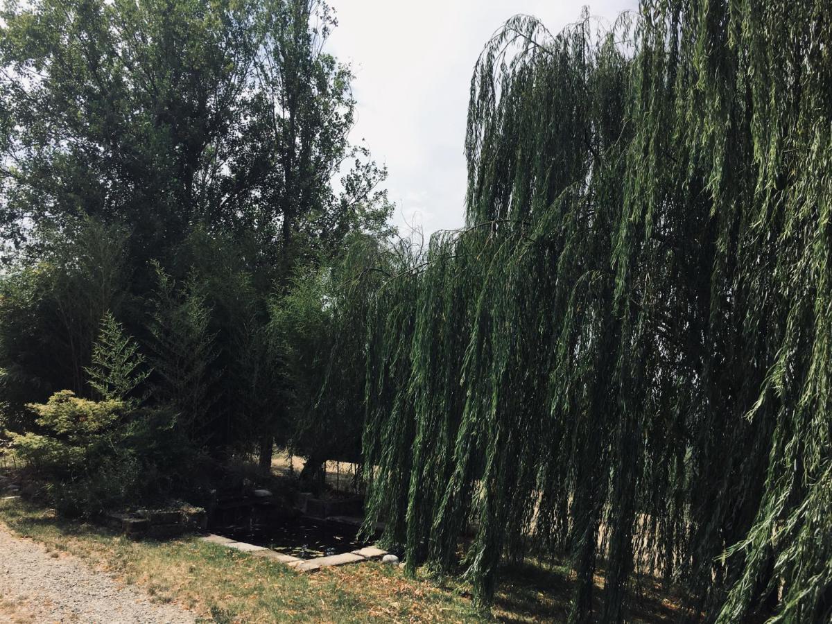Il Biancospino - Housity