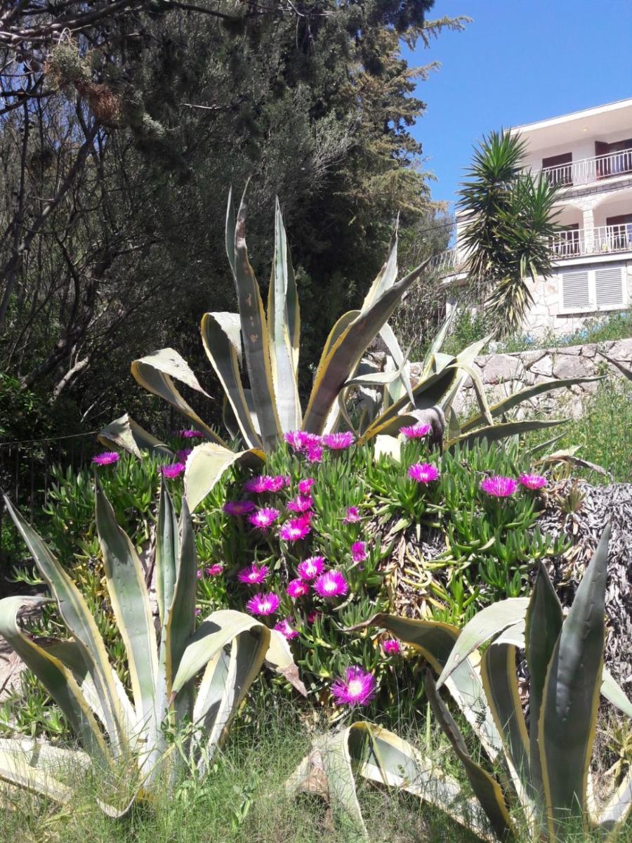 Villa Aquamare**** - Housity
