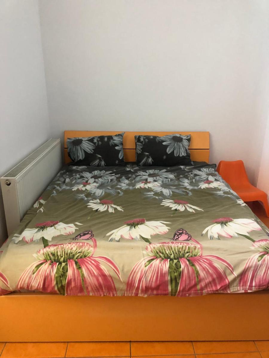 Pipera Park Studios - Housity