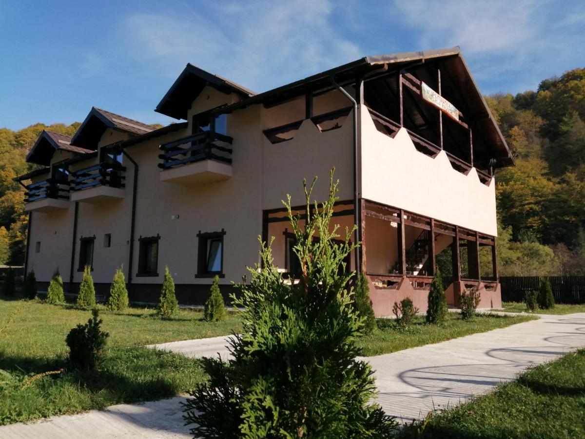 Pensiunea Perla Râușor - Housity