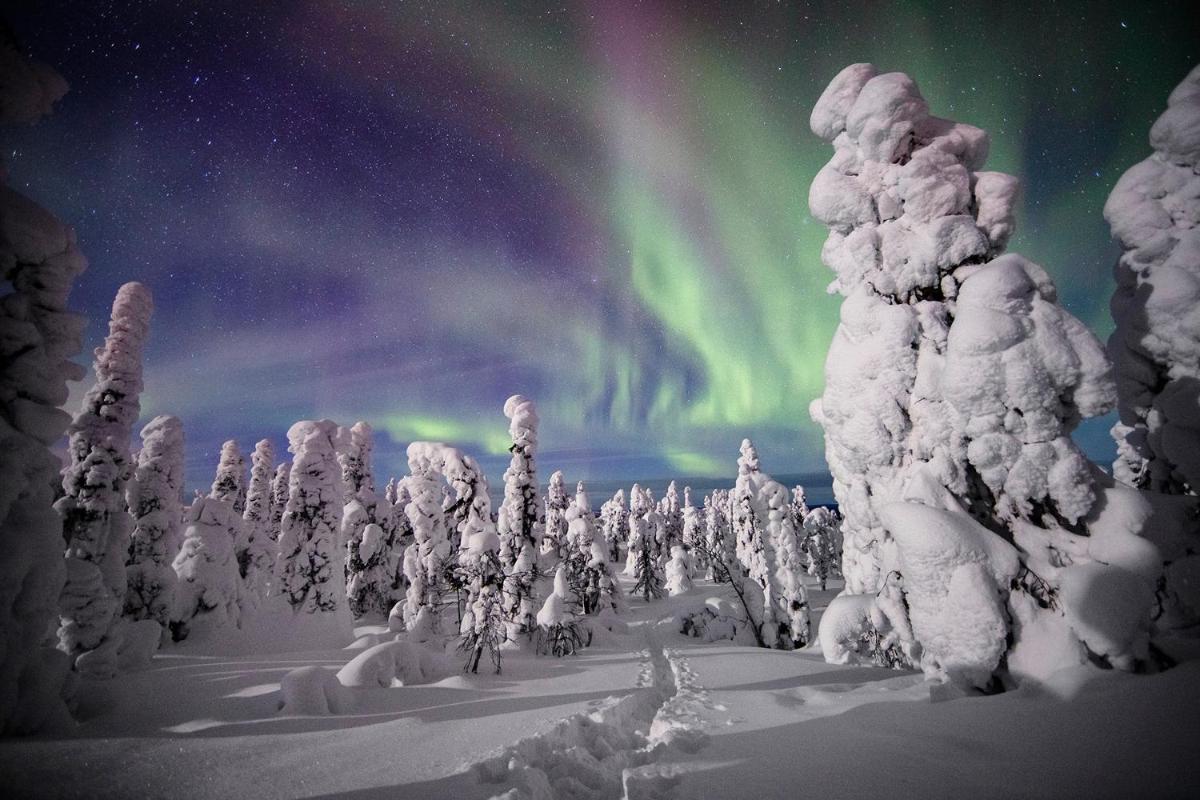 Lapland Lodge Pyhä Ski in, sauna, free WiFi, national park - Lapland Villas - Housity