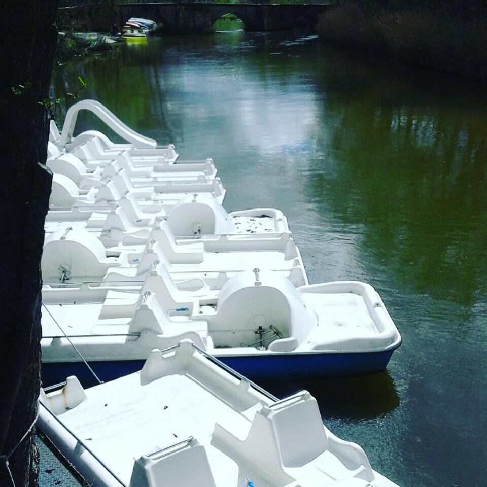 Vista de un río cerca de este hotel