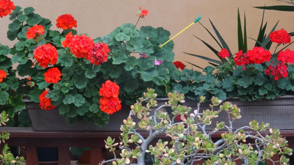 Ferienwohnung bei Erfurt - Housity