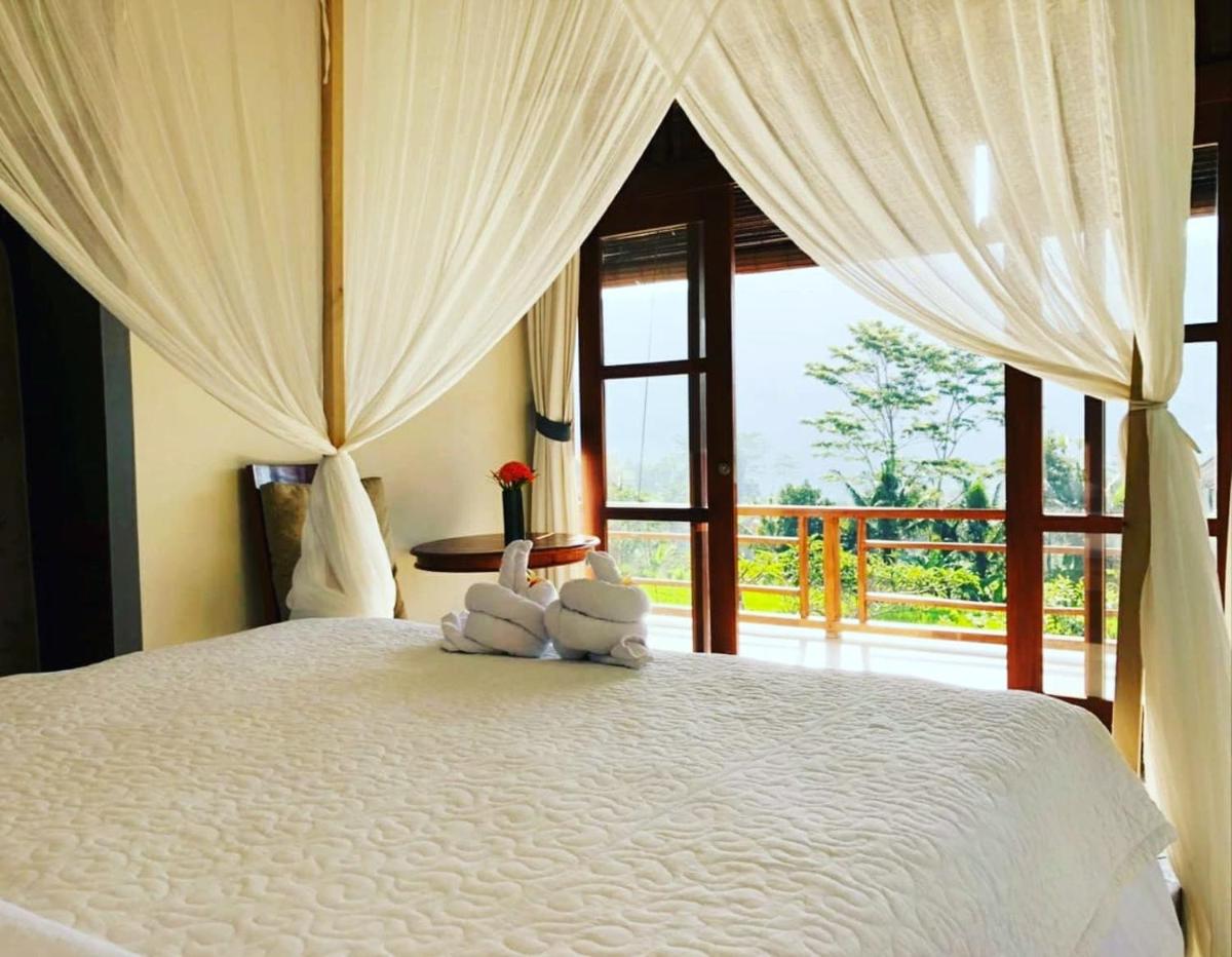 Noka Homestay - Housity