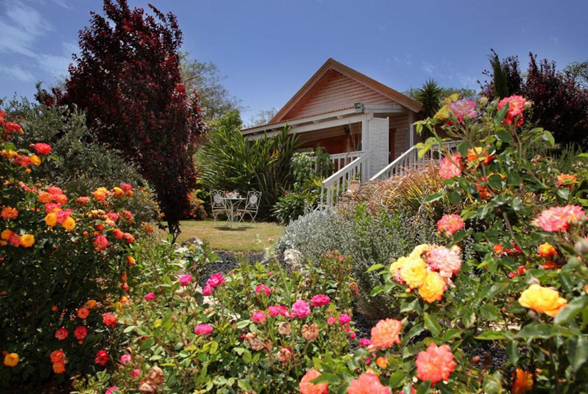 The Beautiful Cabins - Housity